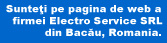 Electro Service SRL Bacau website
